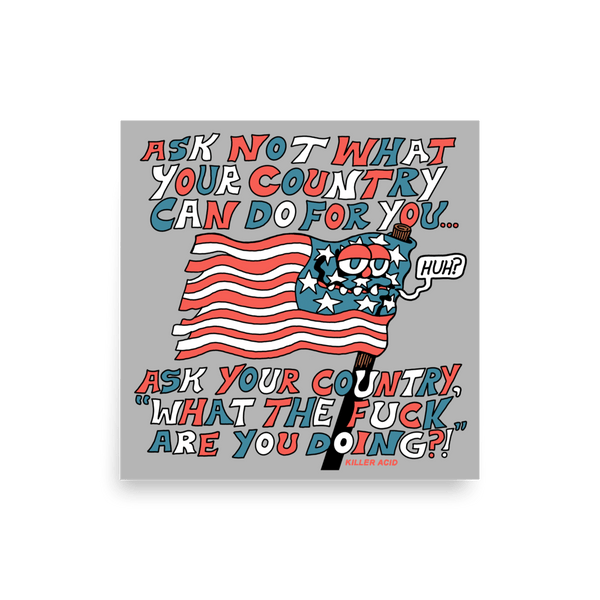 Ask Your Country Poster - killeracid.com
