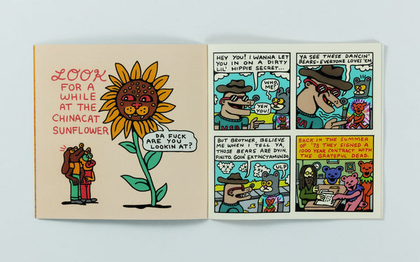 Not My Day to Care Zine - Books - killeracid.com
