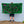 Jungle Vibes Deluxe Towel