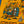 Newport Jazz Cats Banner