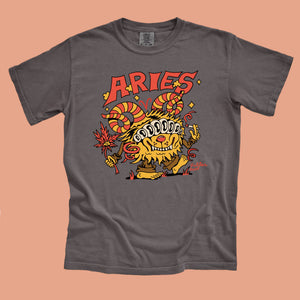 Aries T-Shirt - T-Shirts