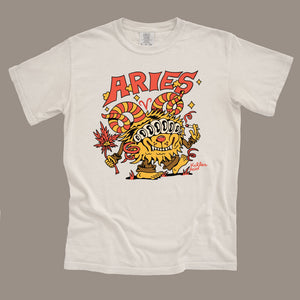 Aries T-Shirt - T-Shirts