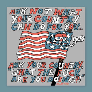 Ask Your Country Poster - killeracid.com