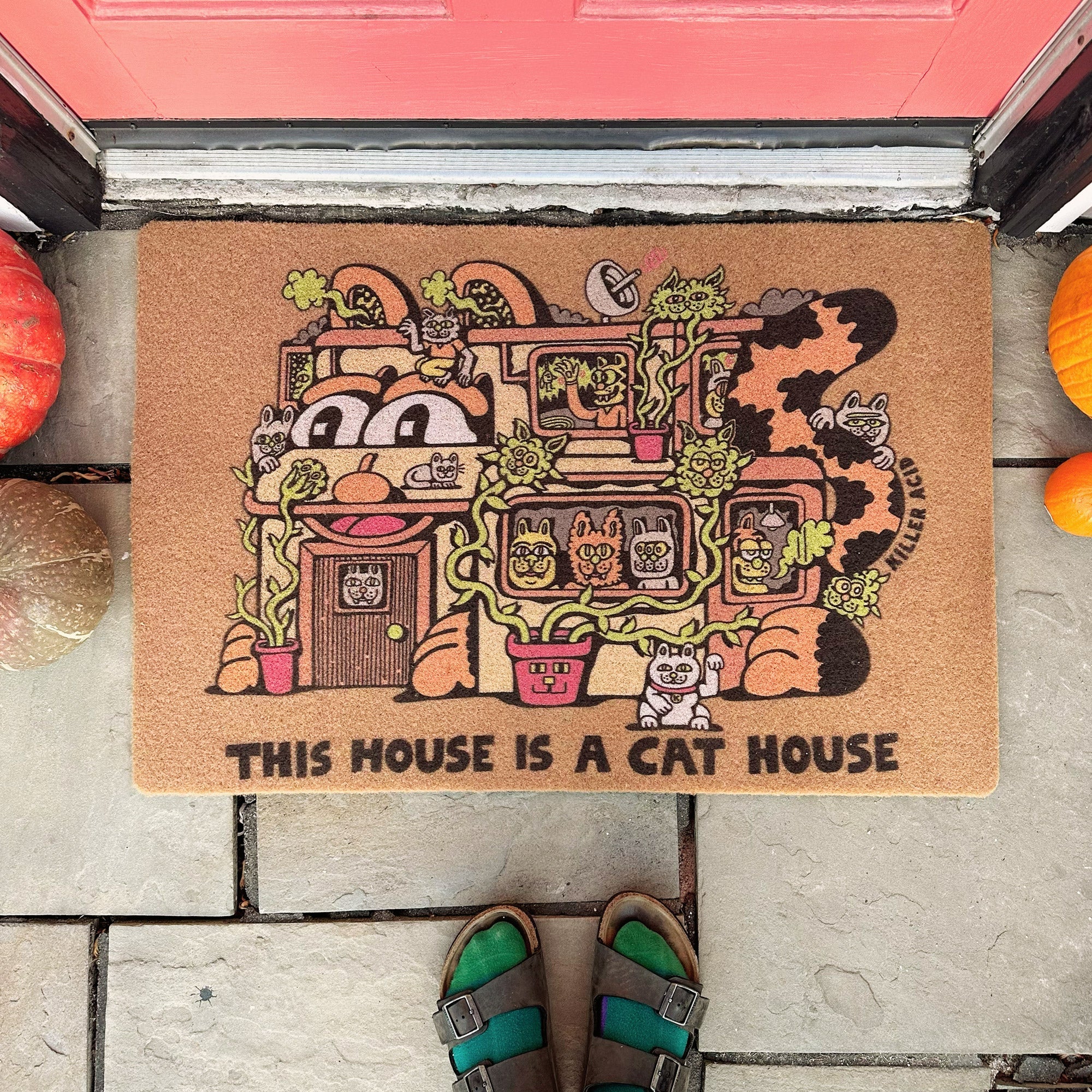 Cat House Doormat