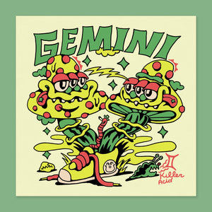 Gemini Poster - killeracid.com