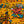 Killer Acid Newport Jazz Cats banner - orange cartoon cat jazz band, blue border, metal grommets