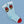 Socks Bundle / Buy 3 Get 1 Free - Socks
