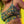 The Spaced Out | Shinesty X Killer Acid Boob Hammock™ Scoop Bralette - Bralettes