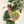 Time to Get High Clock - Clocks
